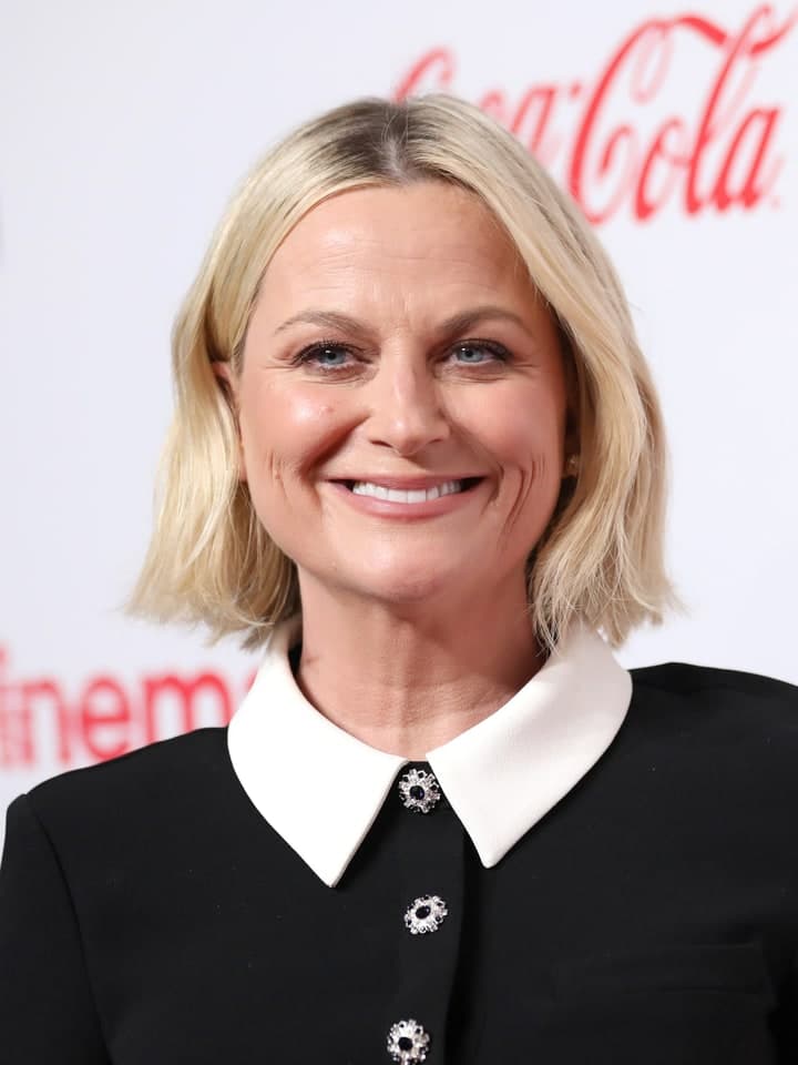 Amy Poehler — VocalMask persona preset
