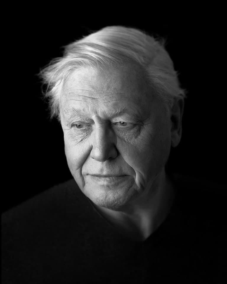 David Attenborough — VocalMask persona preset