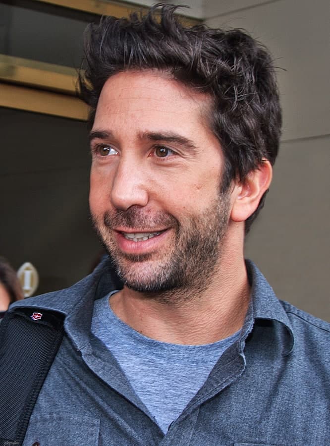 David Schwimmer — VocalMask persona preset